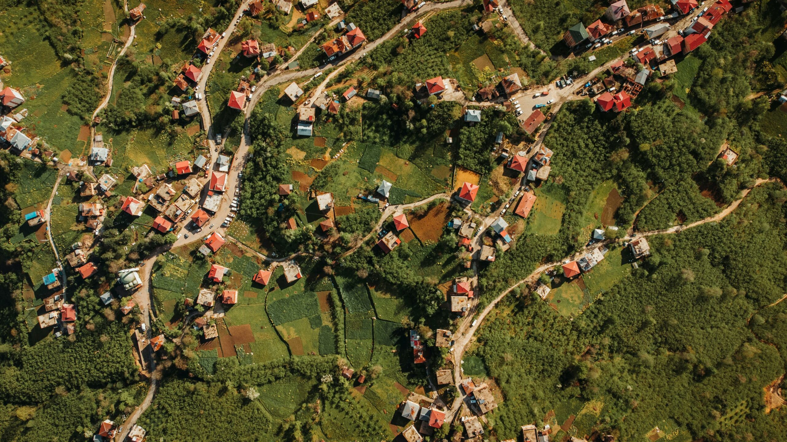 Green Belt Explained