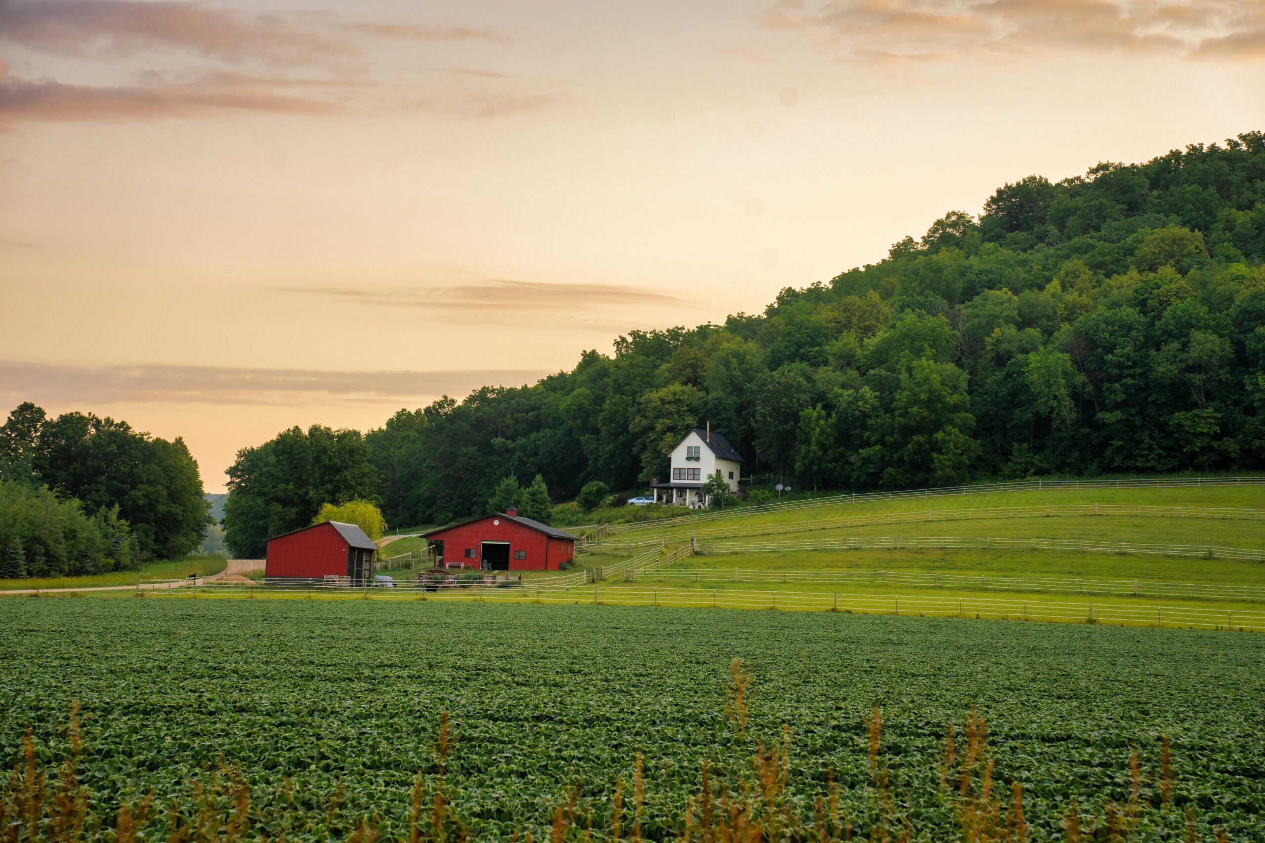 Barn Conversions: Everything You Need to Know About Class Q Planning